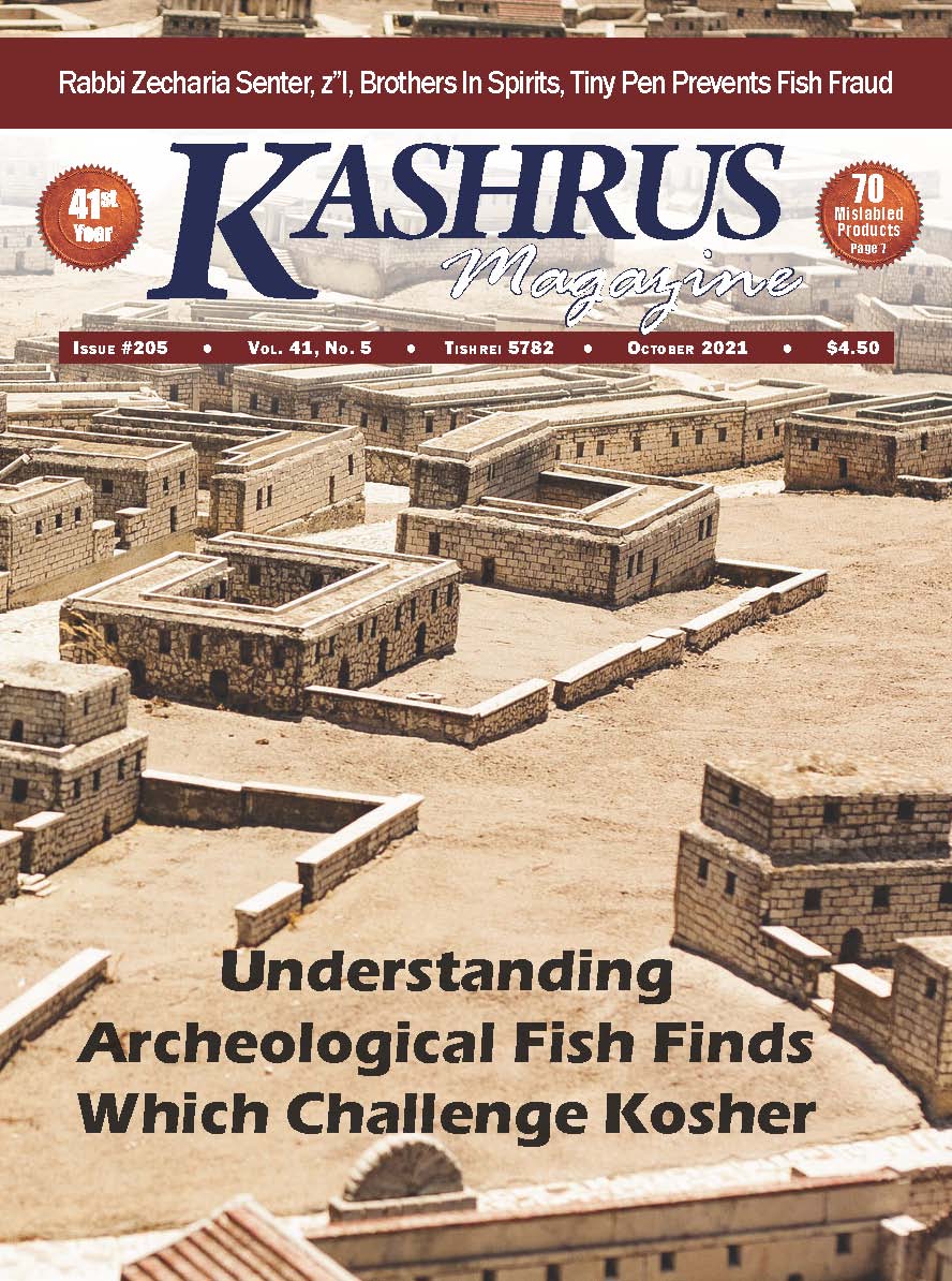 The current issue of KASHRUS magazine.